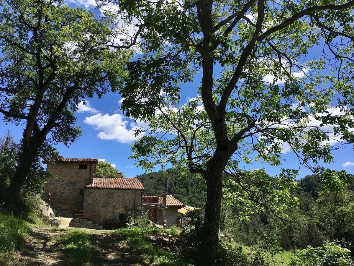 Can Poca Roba Sant Pere de Torello Экстерьер фото